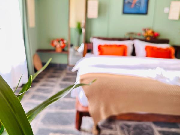 Hotel Darwin : photo 4 de la chambre chambre familiale deluxe