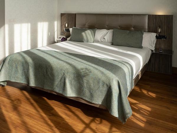 Petit Palace Museum : photo 5 de la chambre chambre quintuple