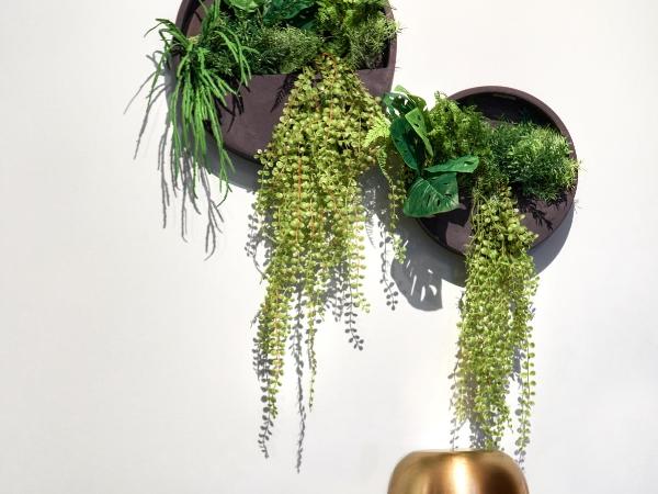 Hotel Botanique Breda : photo 5 de la chambre chambre deluxe