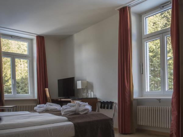 Waldhotel & SPA Davos - for body & soul : photo 8 de la chambre chambre double standard avec vue sur la forêt