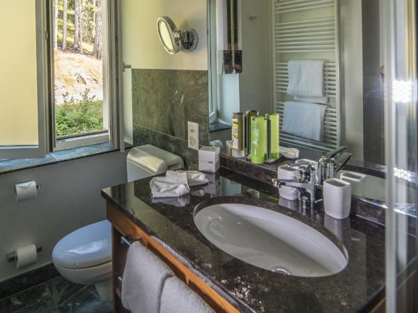 Waldhotel & SPA Davos - for body & soul : photo 10 de la chambre chambre double standard avec vue sur la forêt