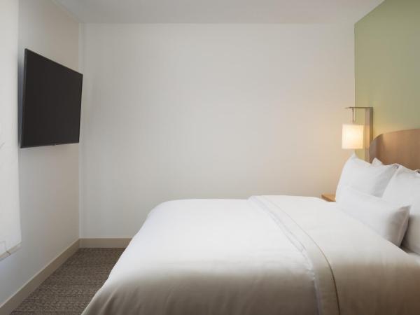 Element Denver Downtown East : photo 3 de la chambre suite lit king-size exécutive avec canapé-lit