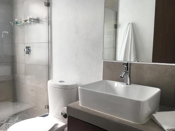 Casa San Rafael CDMX : photo 3 de la chambre appartement 1 chambre