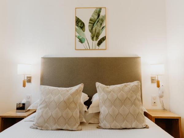 Palm Boutique Hôtel Nice : photo 6 de la chambre chambre simple