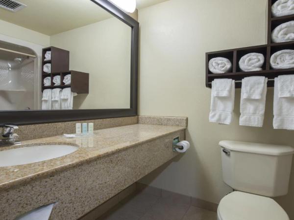 Comfort Suites Columbia at Harbison : photo 9 de la chambre suite lit king-size – non-fumeurs