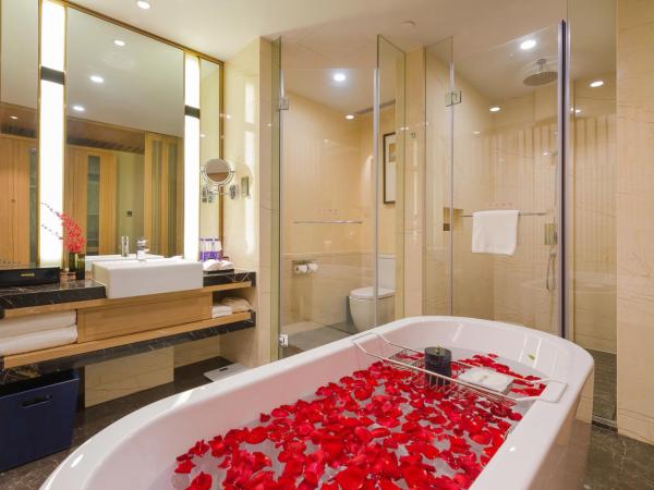 Landison Plaza HSD Hotel Hangzhou : photo 2 de la chambre chambre double deluxe