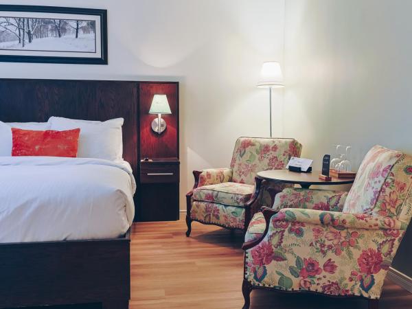 Auberge aux Deux Lions : photo 1 de la chambre chambre affaires