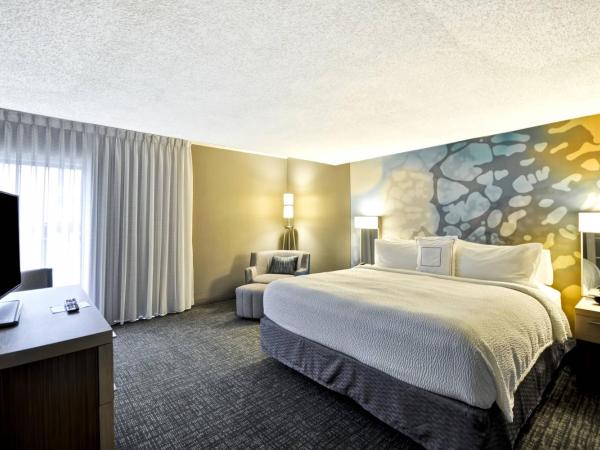 Courtyard Houston I-10 West/Energy Corridor : photo 1 de la chambre chambre lit king-size