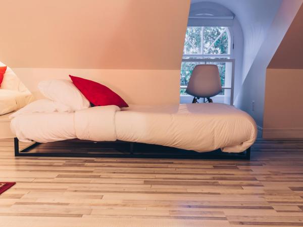 Auberge aux Deux Lions : photo 8 de la chambre loft