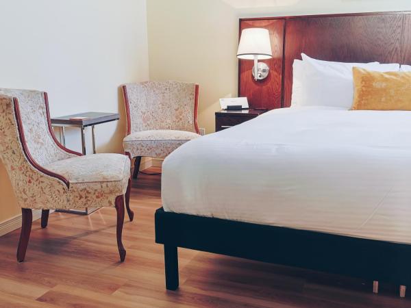 Auberge aux Deux Lions : photo 2 de la chambre chambre affaires