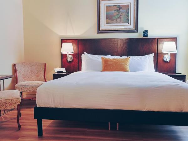 Auberge aux Deux Lions : photo 4 de la chambre chambre affaires