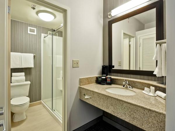 Courtyard Dallas Medical Market Center : photo 2 de la chambre chambre lit king-size avec canapé-lit