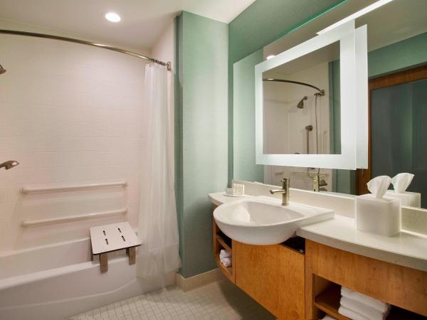 SpringHill Suites by Marriott Houston Downtown/Convention Center : photo 4 de la chambre studio lit king-size