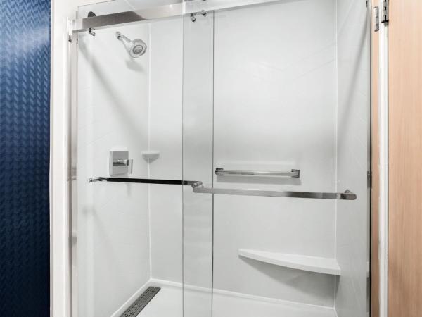 Fairfield Inn & Suites by Marriott San Antonio Downtown/Market Square : photo 7 de la chambre suite lit king-size exécutive