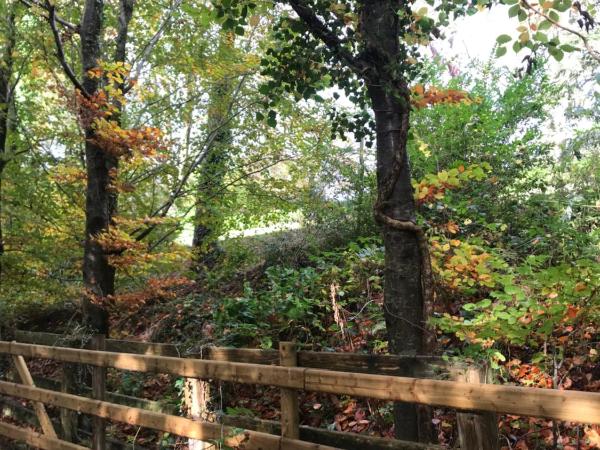 The Green Room guest suite : photo 6 de la chambre chambre double deluxe avec douche