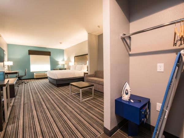Holiday Inn Express & Suites Houston - Hobby Airport Area, an IHG Hotel : photo 7 de la chambre suite lit king-size – non-fumeurs