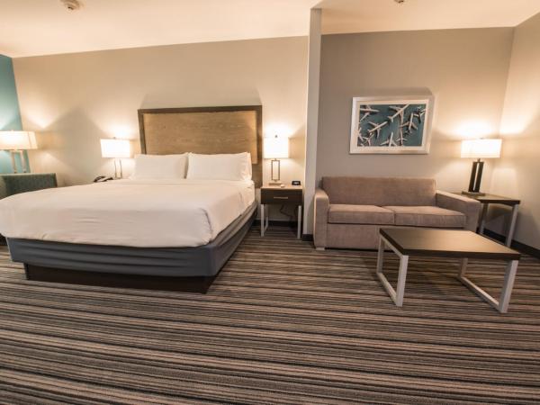 Holiday Inn Express & Suites Houston - Hobby Airport Area, an IHG Hotel : photo 8 de la chambre chambre lit king-size loisirs - non-fumeurs