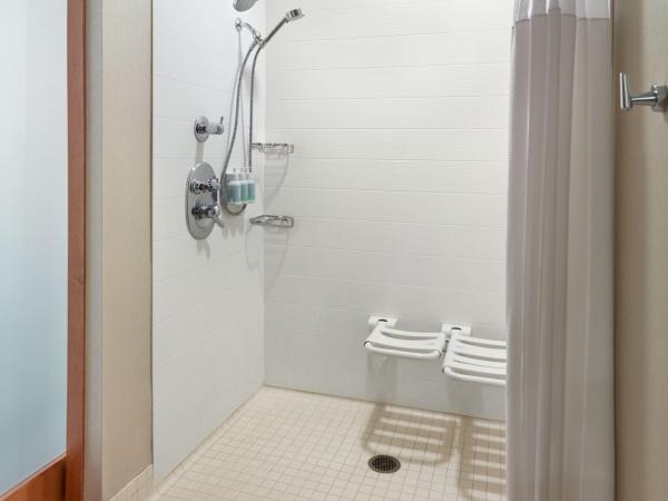 SpringHill Suites by Marriott Atlanta Airport Gateway : photo 10 de la chambre suite lit king-size avec canapé-lit