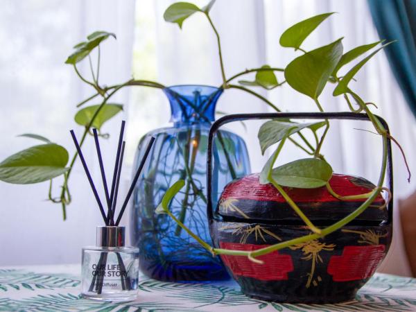 Just Stay Inn Guest House : photo 4 de la chambre chambre simple deluxe