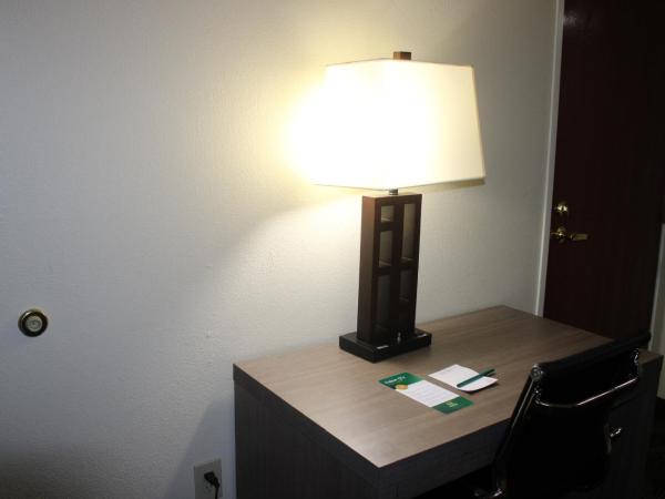 Quality Suites : photo 5 de la chambre suite lit king-size – non-fumeurs