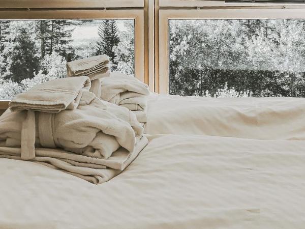 Hotel Regina Terme : photo 9 de la chambre appartement 3 chambres