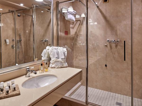 Hotel Accademia : photo 4 de la chambre chambre double supérieure