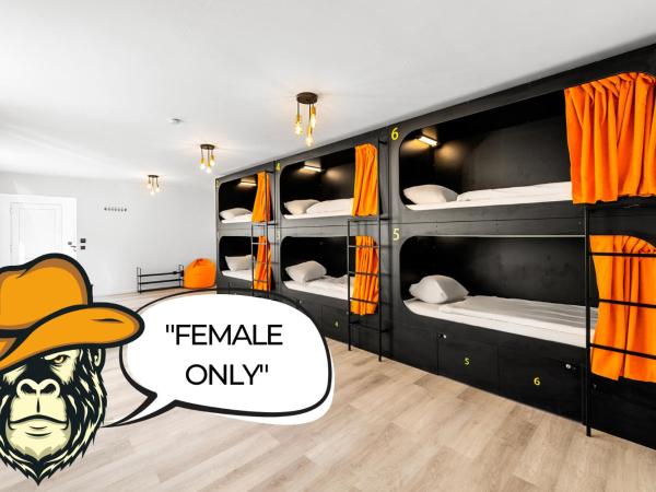 Stadtaffe - Chic Hostel VIE : photo 2 de la chambre lit superposé dans dortoir pour femmes