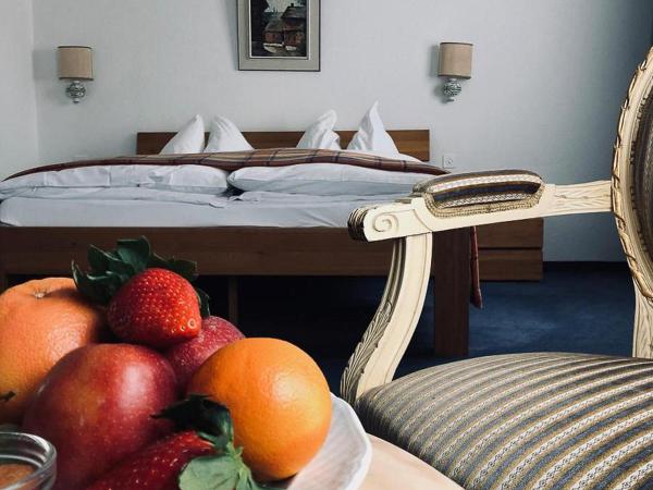 Hotel Regina Terme : photo 5 de la chambre chambre familiale - vue sur montagne