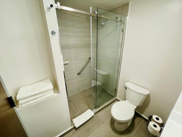 Holiday Inn Express - Guadalajara Vallarta Poniente, an IHG Hotel : photo 8 de la chambre chambre lit king-size standard