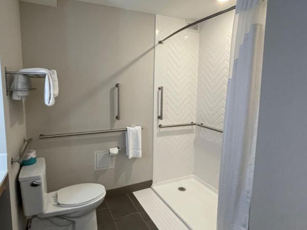 Holiday Inn Hotel & Suites Chicago - Downtown, an IHG Hotel : photo 1 de la chambre chambre lit king-size avec douche accessible en fauteuil roulant - non-fumeurs