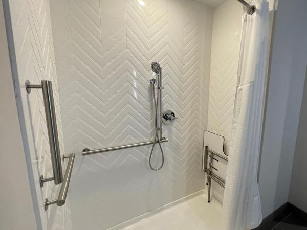 Holiday Inn Hotel & Suites Chicago - Downtown, an IHG Hotel : photo 3 de la chambre chambre lit king-size avec douche accessible en fauteuil roulant - non-fumeurs