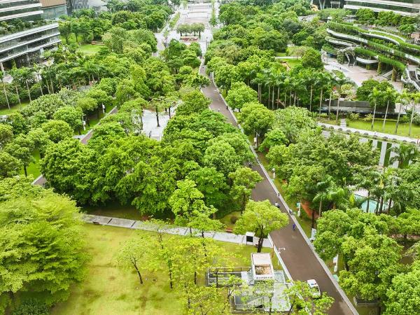 Grand Hyatt Guangzhou-Free Shuttle Bus to Canton Fair Complex during Canton Fair Period : photo 7 de la chambre chambre lit king-size - vue sur jardin