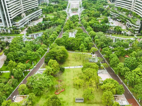 Grand Hyatt Guangzhou-Free Shuttle Bus to Canton Fair Complex during Canton Fair Period : photo 6 de la chambre chambre lit king-size - vue sur jardin