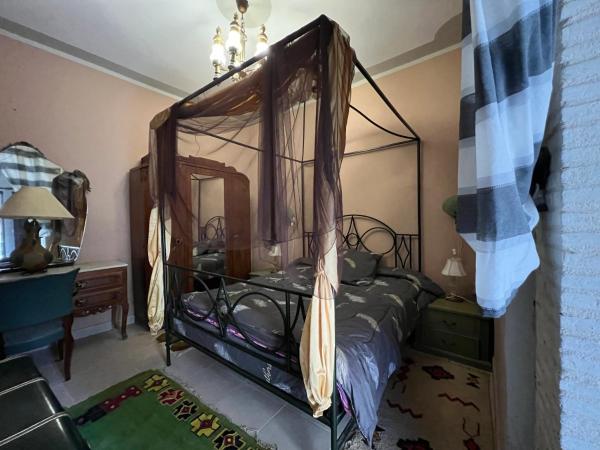 Dar El Sultan Tozeur : photo 10 de la chambre chambre double supérieure