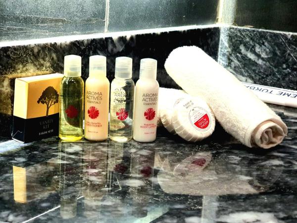 Center Inn Hotel Maltepe İstanbul : photo 3 de la chambre chambre simple