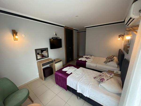 Hotel Lunay : photo 2 de la chambre chambre double ou lits jumeaux standard