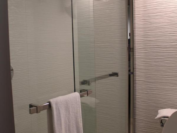 Comfort Inn & Suites Nashville Downtown - Stadium : photo 5 de la chambre chambre lit king-size - non-fumeurs