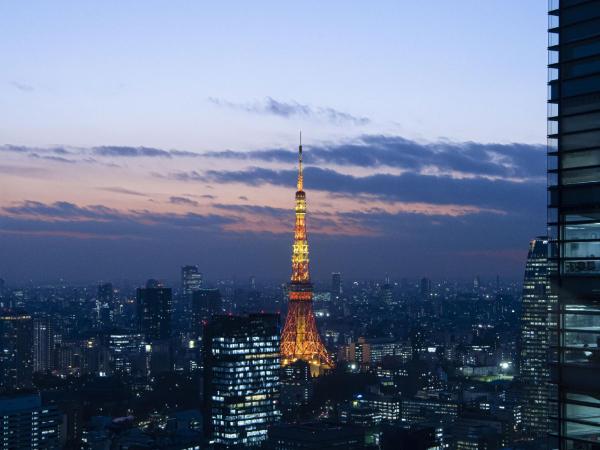 The Royal Park Hotel Iconic Tokyo Shiodome : photo 3 de la chambre chambre double Économique - vue sur tour de tokyo
