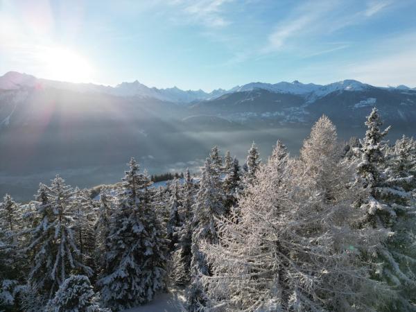 Colorado Riders Chalet : photo 7 de la chambre chambre double - vue sur montagne