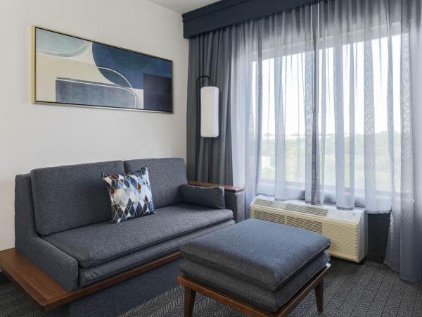 Courtyard Austin Airport : photo 2 de la chambre chambre lit king-size avec canapé-lit
