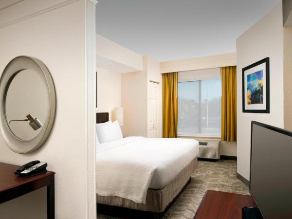 SpringHill Suites by Marriott Jacksonville North I-95 Area : photo 1 de la chambre studio lit king-size avec canapé-lit