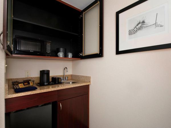 SpringHill Suites by Marriott Jacksonville North I-95 Area : photo 5 de la chambre studio lit king-size avec canapé-lit