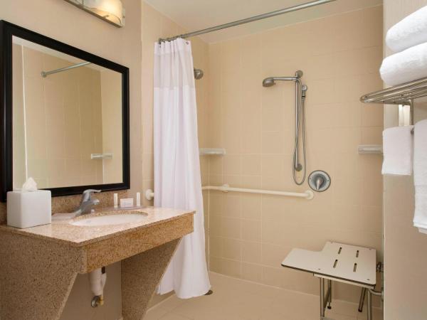 SpringHill Suites by Marriott Jacksonville North I-95 Area : photo 9 de la chambre studio lit king-size avec canapé-lit