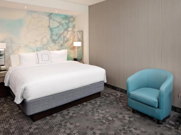 Courtyard by Marriott Dallas Downtown/Reunion District : photo 5 de la chambre chambre lit king-size exécutive