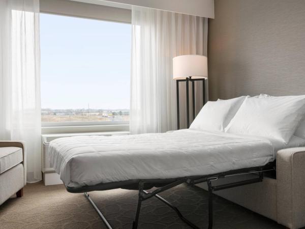 Delta Hotels by Marriott - Indianapolis Airport : photo 3 de la chambre chambre 1 lit king-size avec canapé-lit