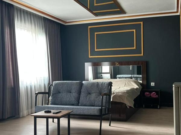 MAVİ KONAKLAMA : photo 5 de la chambre studio