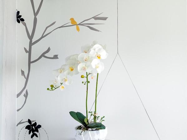 The Lapa Hua Hin : photo 1 de la chambre chambre lits jumeaux lapa cocoon