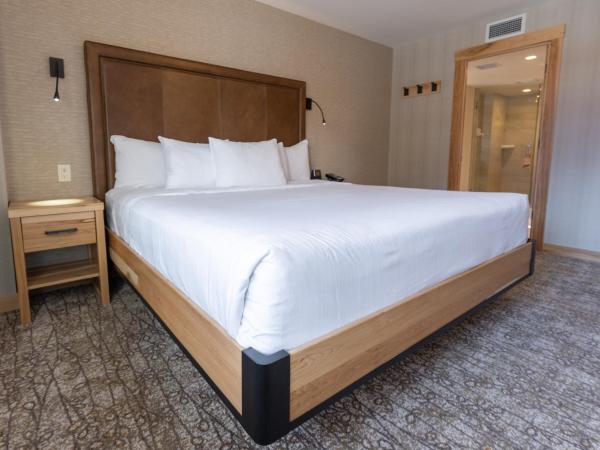 Moose Hotel and Suites : photo 4 de la chambre suite 1 chambre lit king-size