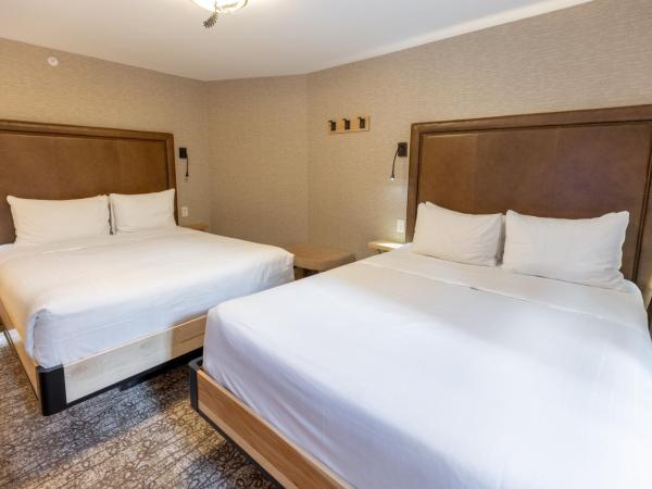 Moose Hotel and Suites : photo 8 de la chambre suite 1 chambre avec 2 lits queen-size