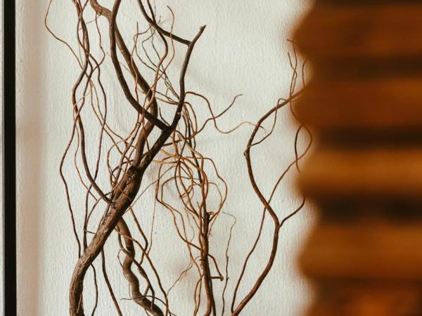 Hotel Sin Nombre : photo 8 de la chambre chambre lit king-size